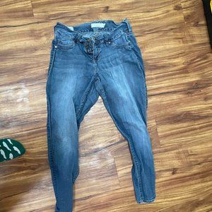 Torrid 12R Jeans
